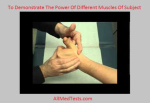 To Demonstrate The Power Of Different Muscles Of Subject