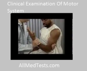 clinical examination of motor system
