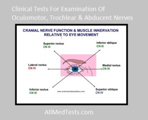 Examination Of Oculomotor, Trochlear & Abducent Nerves