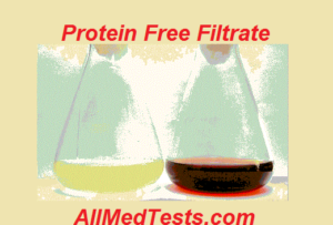 protein free filtrate