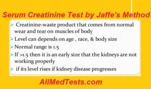 serum creatinine test