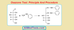 osazone test 